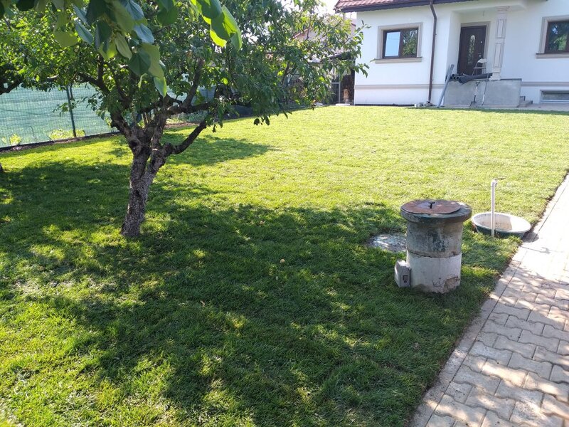 Ferma de gazon, Producator gazon, servicii amenajare spatii verzi