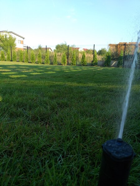 Ferma de gazon, Producator gazon, servicii amenajare spatii verzi