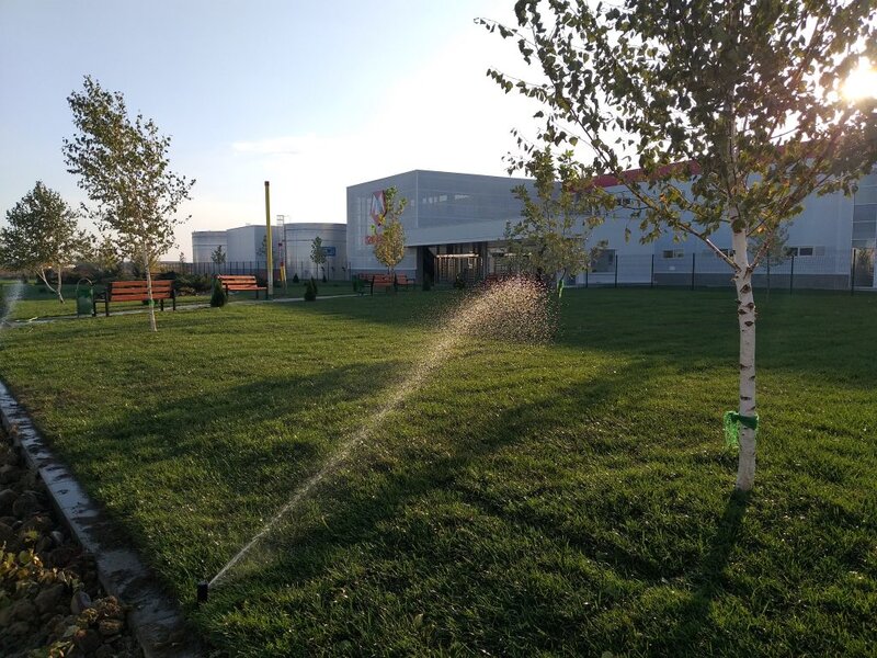 Ferma de gazon, Producator gazon, servicii amenajare spatii verzi